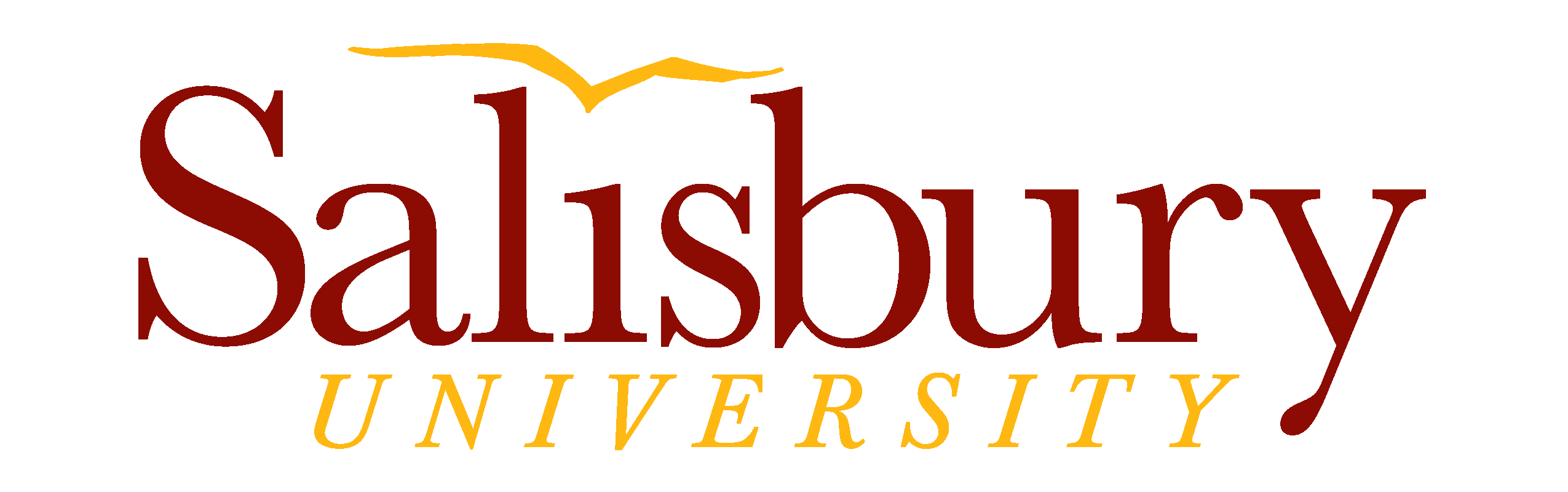 Salisbury University