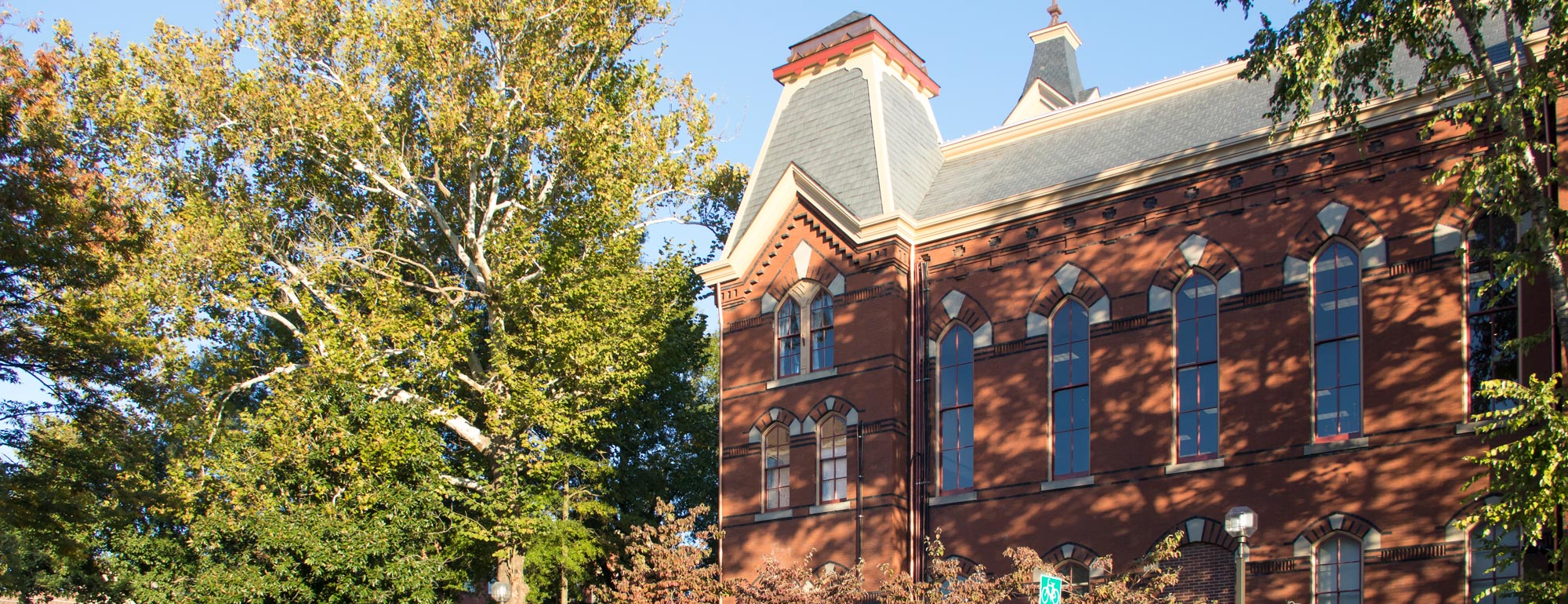 top of older building with tree